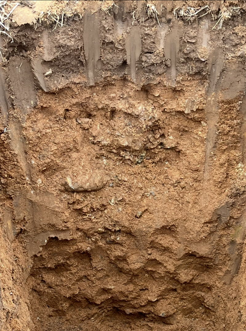Exposed soil for perc testing