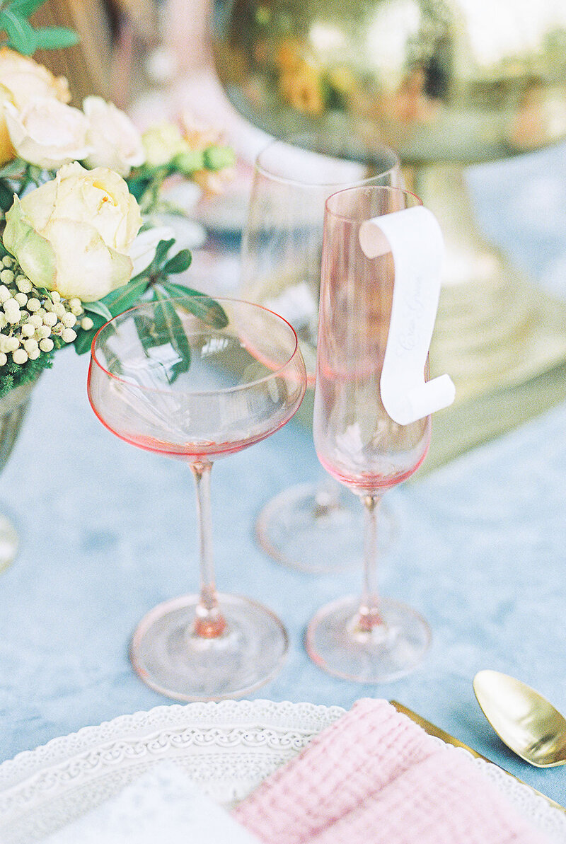 Savannah-Wedding-Photographer-Olana Film-22 (1)