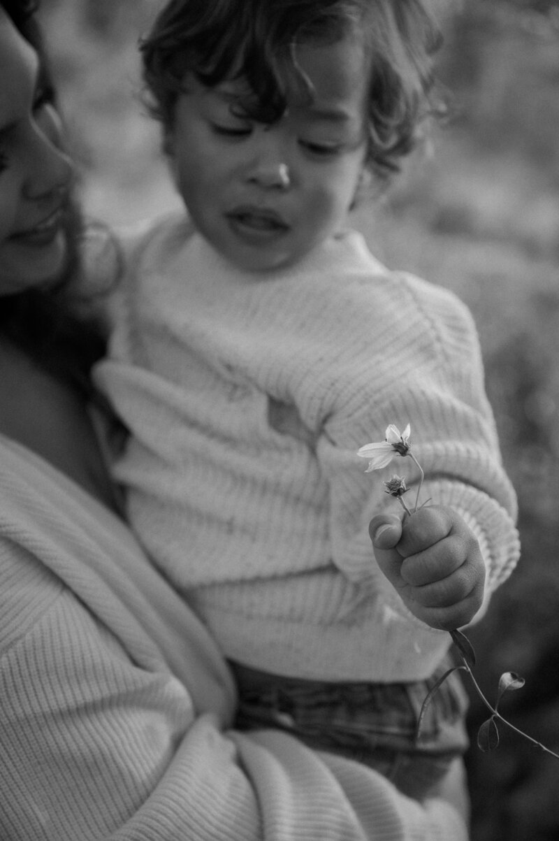 Sunrise Family Photo Session Blandy Farm Boyce Virginia Kelsey Cuervo Photography Wedding and Motherhood Photographer 2024-31