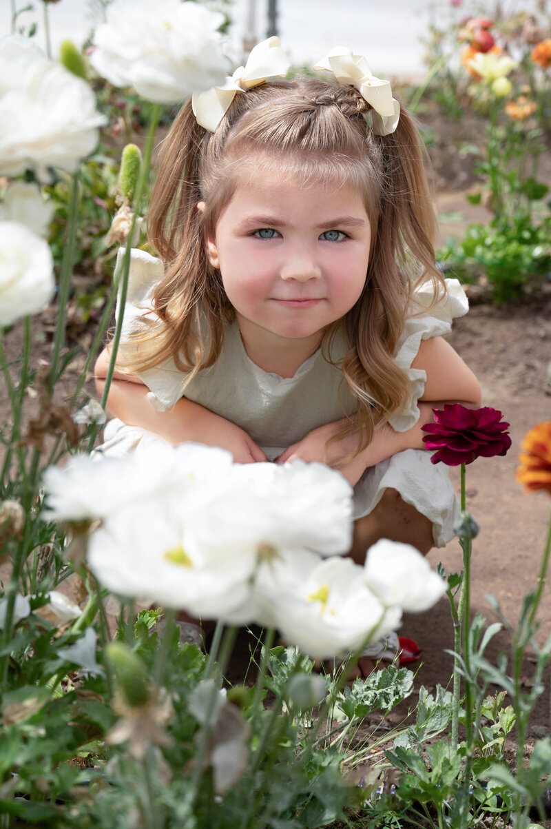 Flowers-100