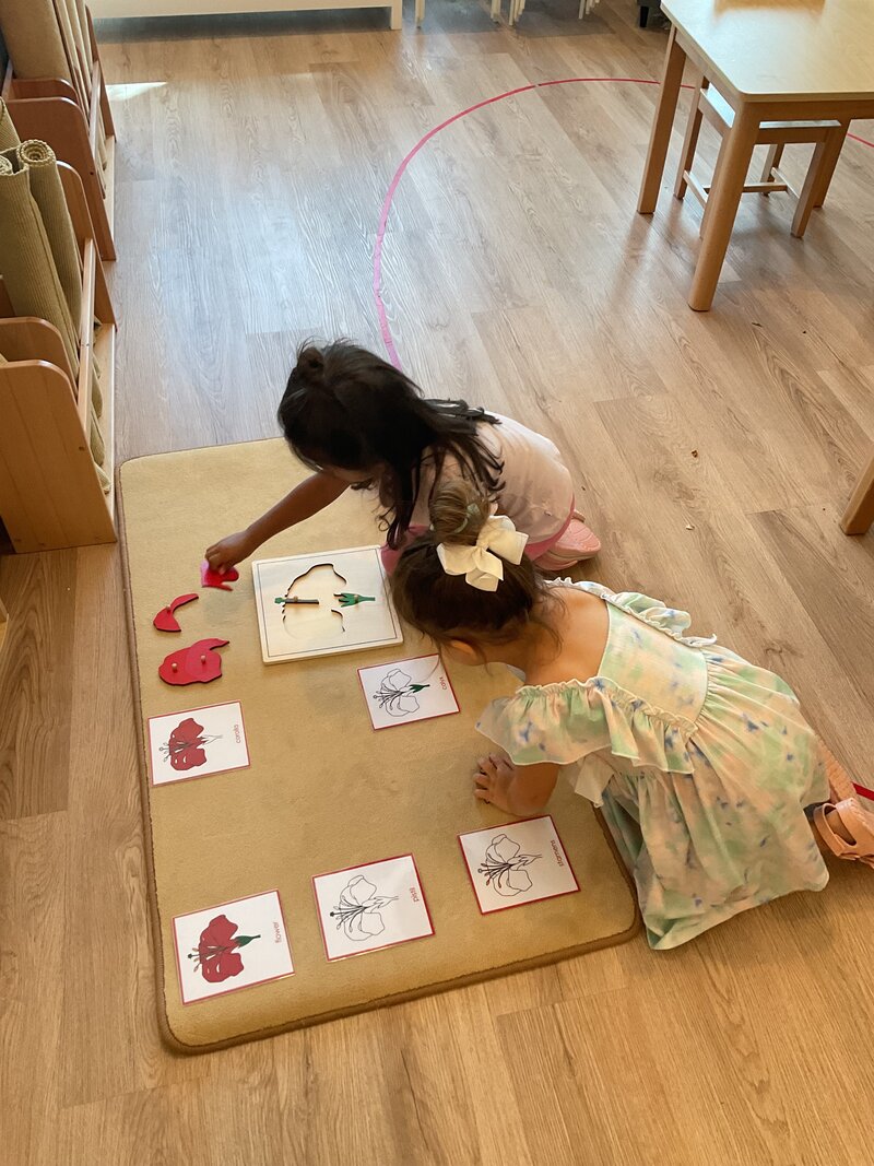 Revere Montessori Early Childhood Center