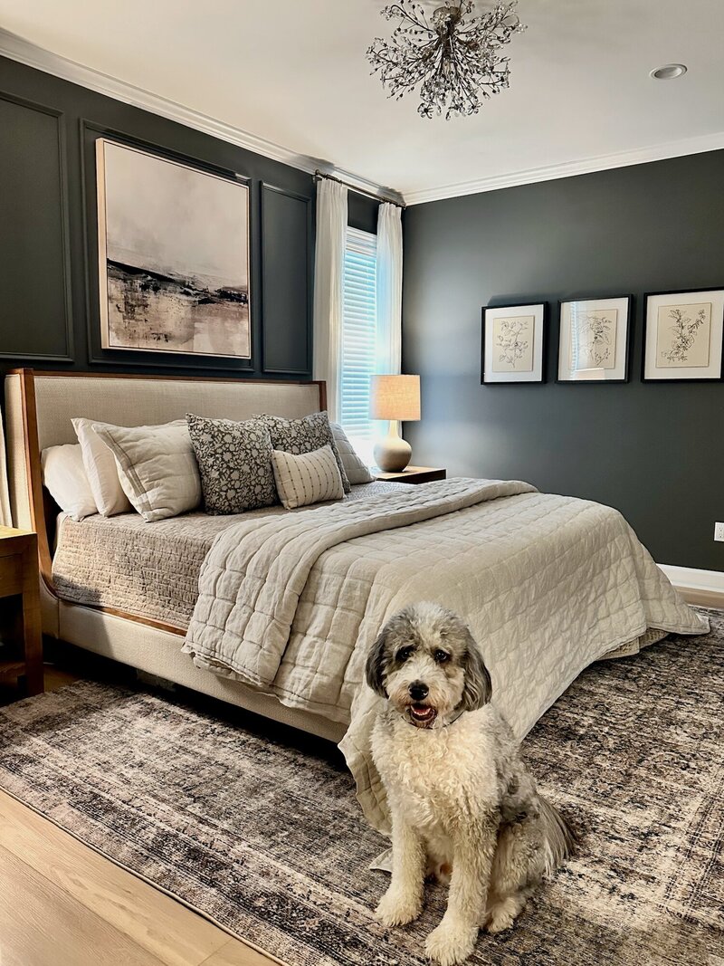 A dog sitting in front of a bed neatly made with blankets and layers of throw pillows.