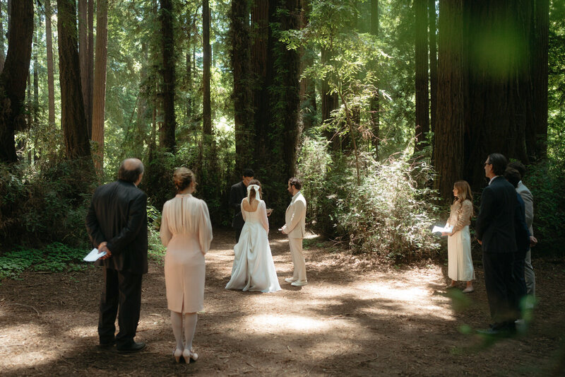 Side angle of a Henry Cowell Redwoods State Park Wedding ceremony with guests standing in a semi-circle around the bride and groom
