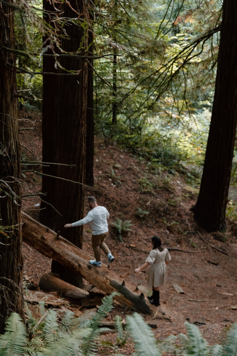 a professional photo of a couple walking across a log at Hoyt Arboretum in Portland Oregon