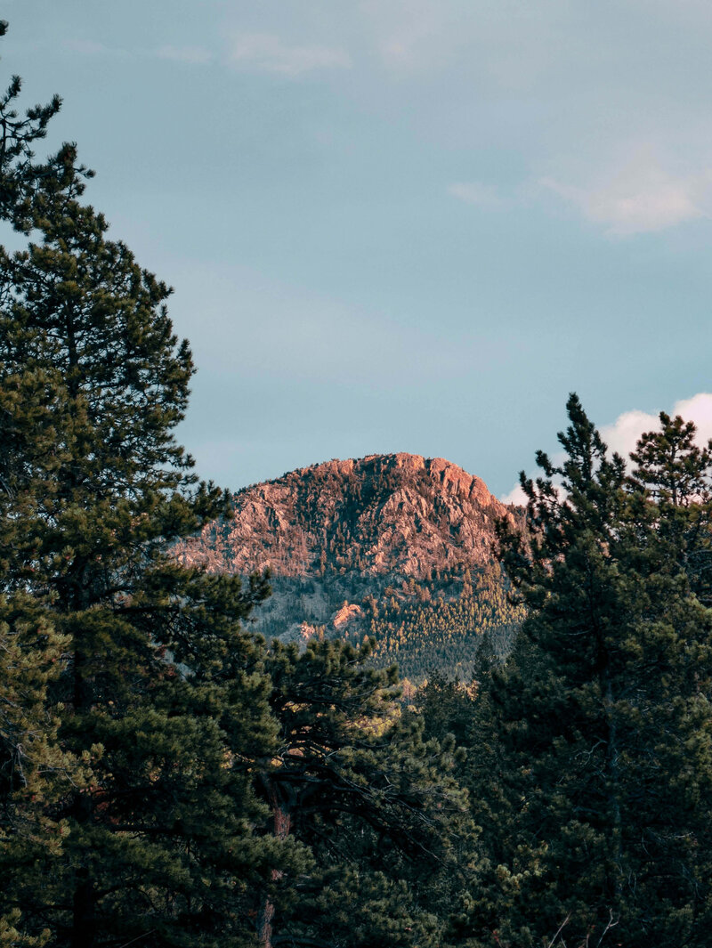Wyoming landscape with pine trees in the foreground and mountains in the background