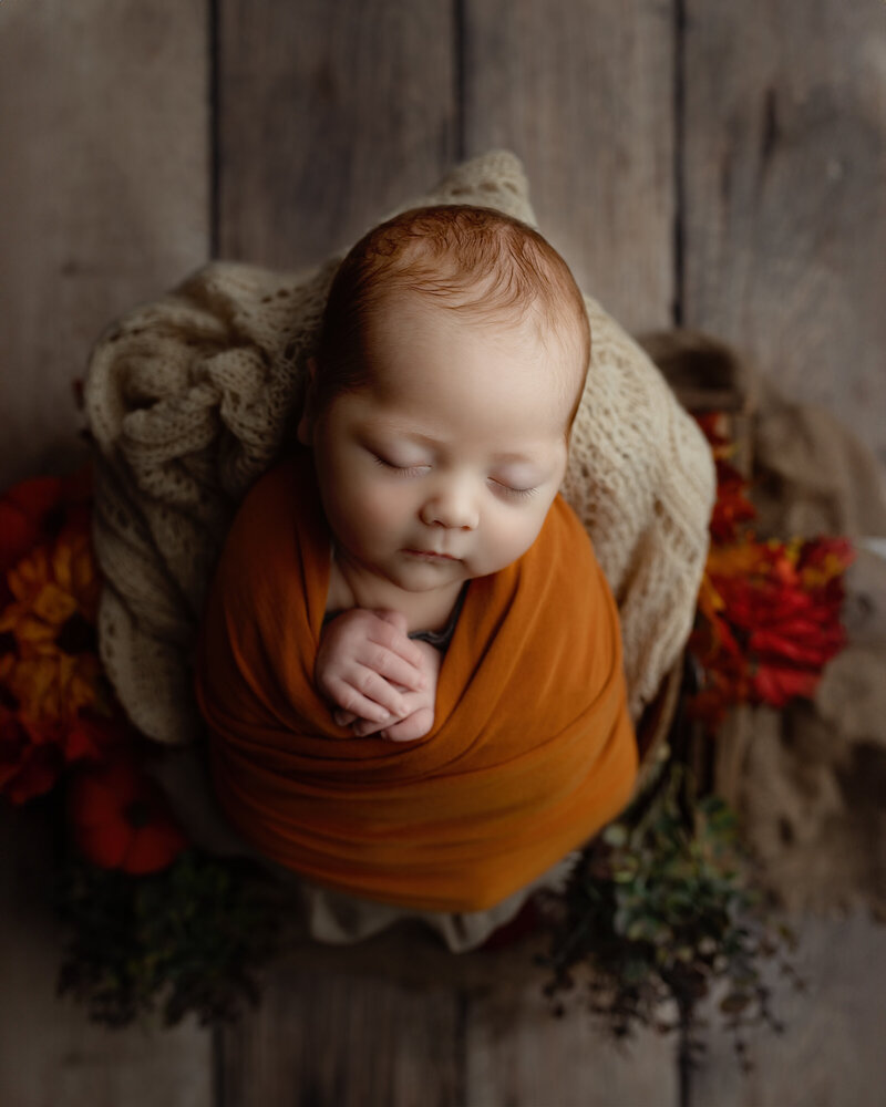 homepage-investment-newborn-autumn-wrap-rustic-wood-floor-paris-ontario
