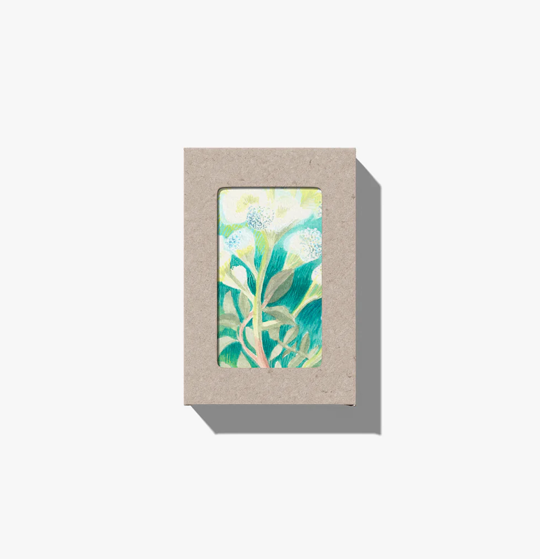 Clarity Oil