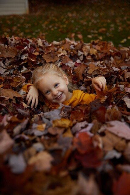 LeafPile_WhiteLake_MI Medium