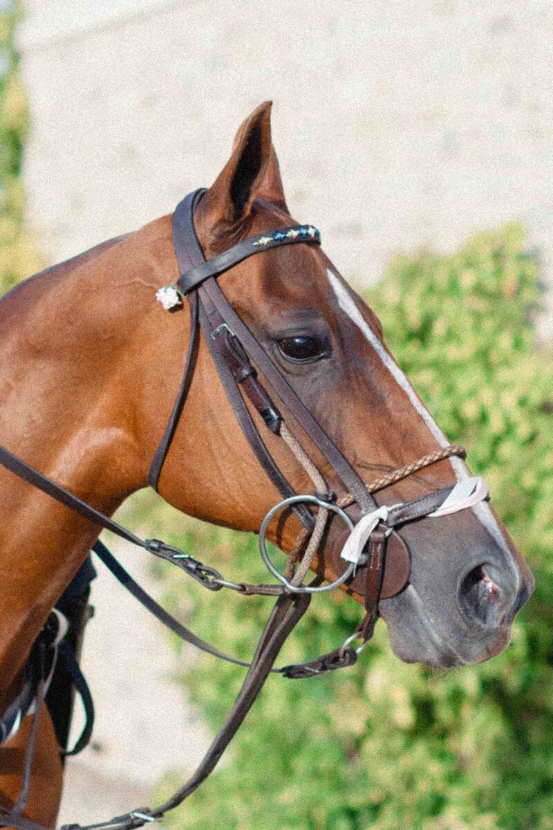 Private-Estate-Wedding-Cotswolds-Aurelia-Allen-25