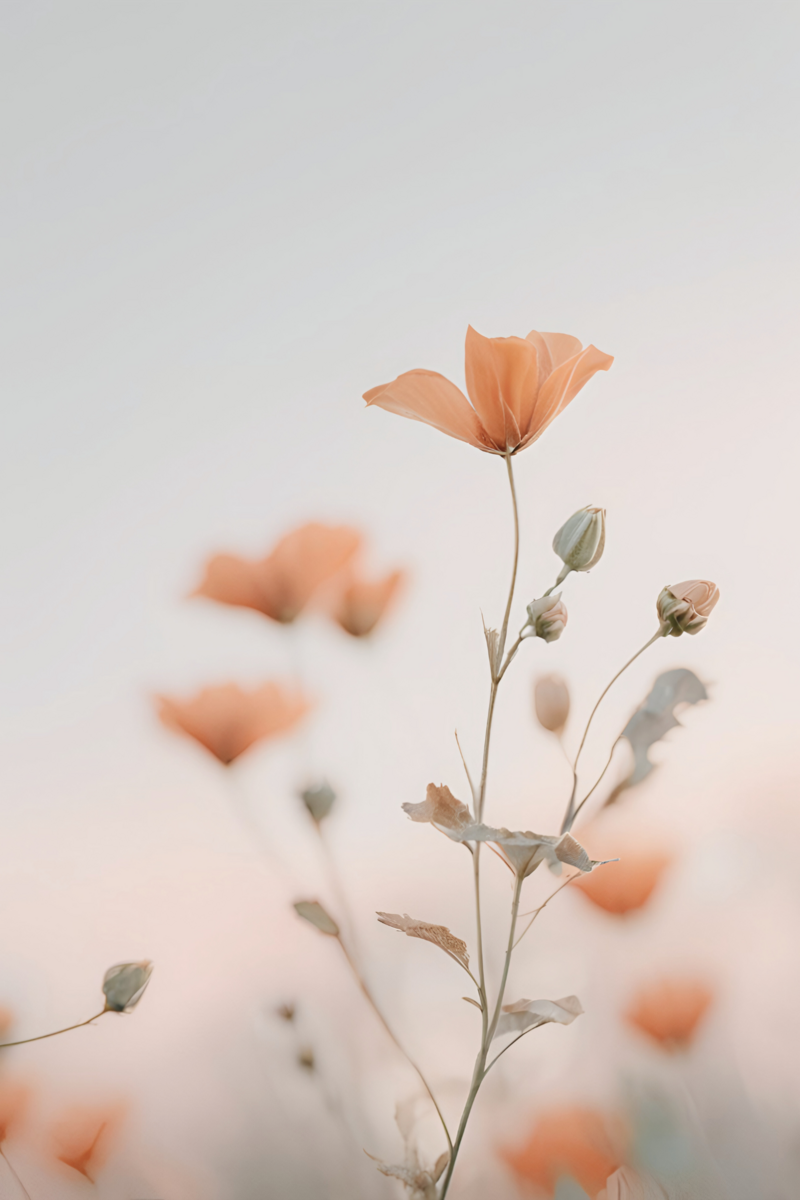 Woman with brown hair in a loose bun, wearing a cozy beige sweater, holding a woven basket filled with eucalyptus and white baby’s breath flowers, facing away from the camera against a light background.