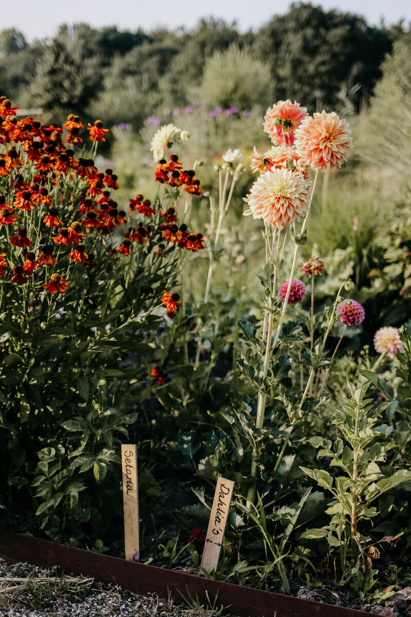 Margreet Rierink – coach supervisor rouwbegeleider fotografie tuin Oosterwold 3