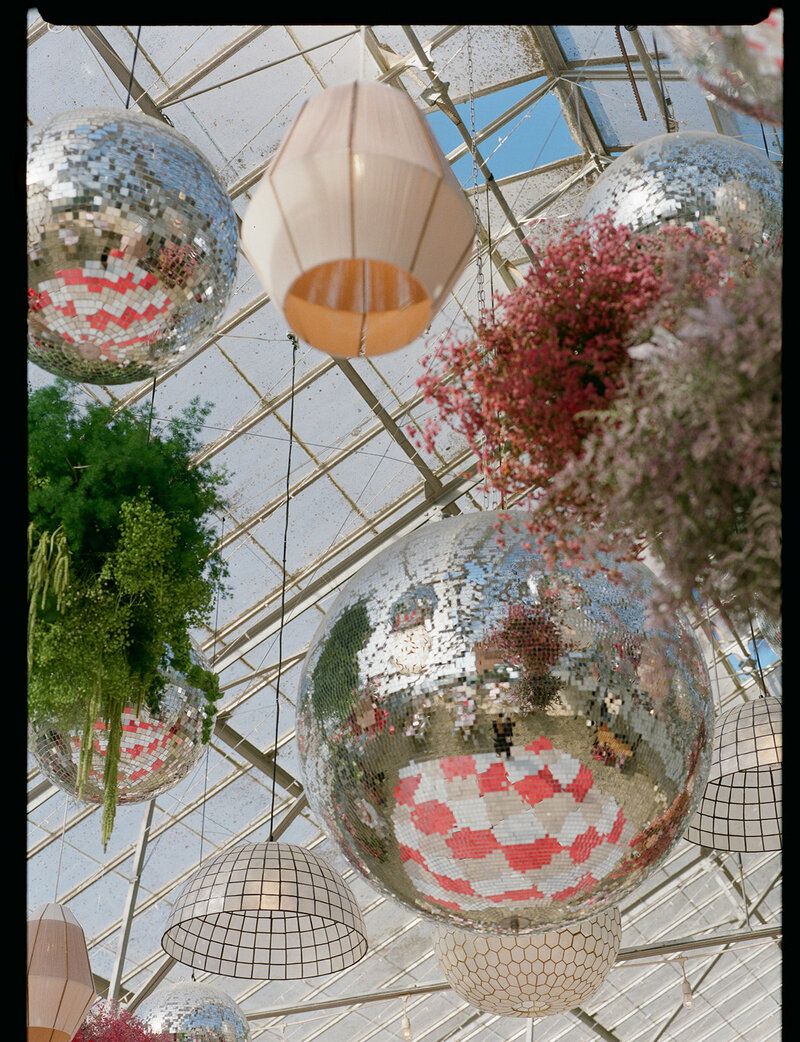 Cierra_Roman_Dos_Pueblos_Orchid_Farm_Santa_Barbara_Sophie_Berard_Photography_film-228