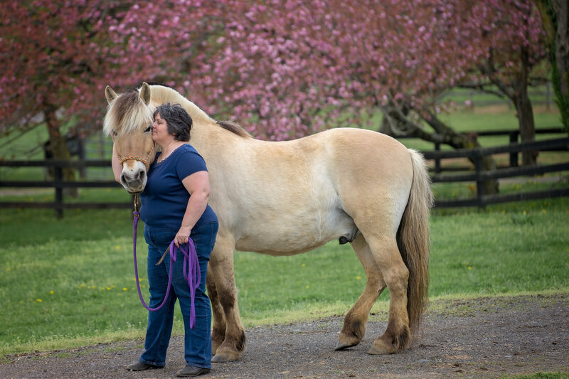 Equestrian-52
