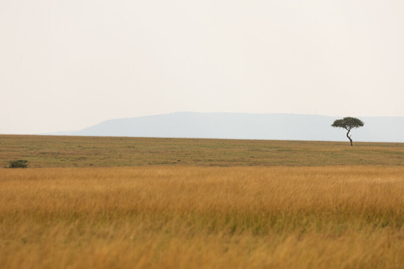 safariedited-083