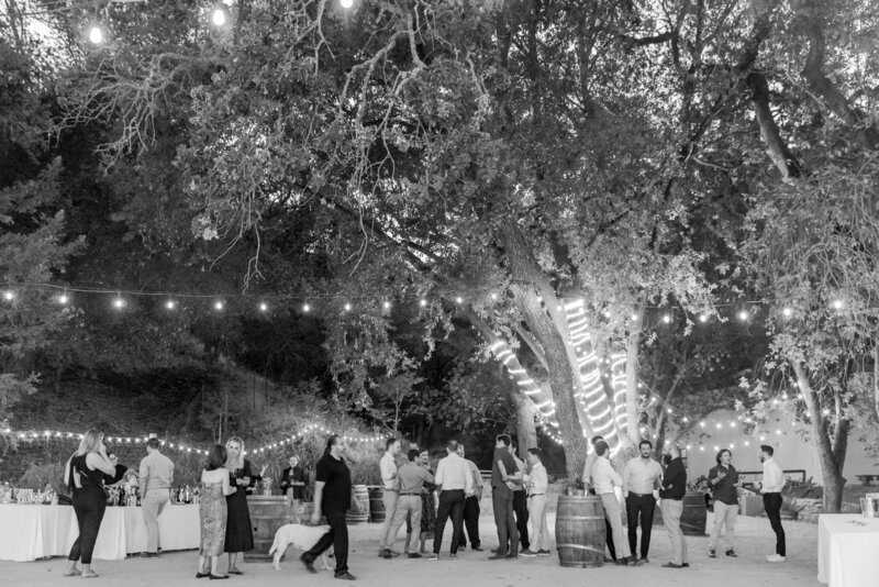 2. ForWeddingPlanners_LuxuryDestinationWeddingPhotographer2