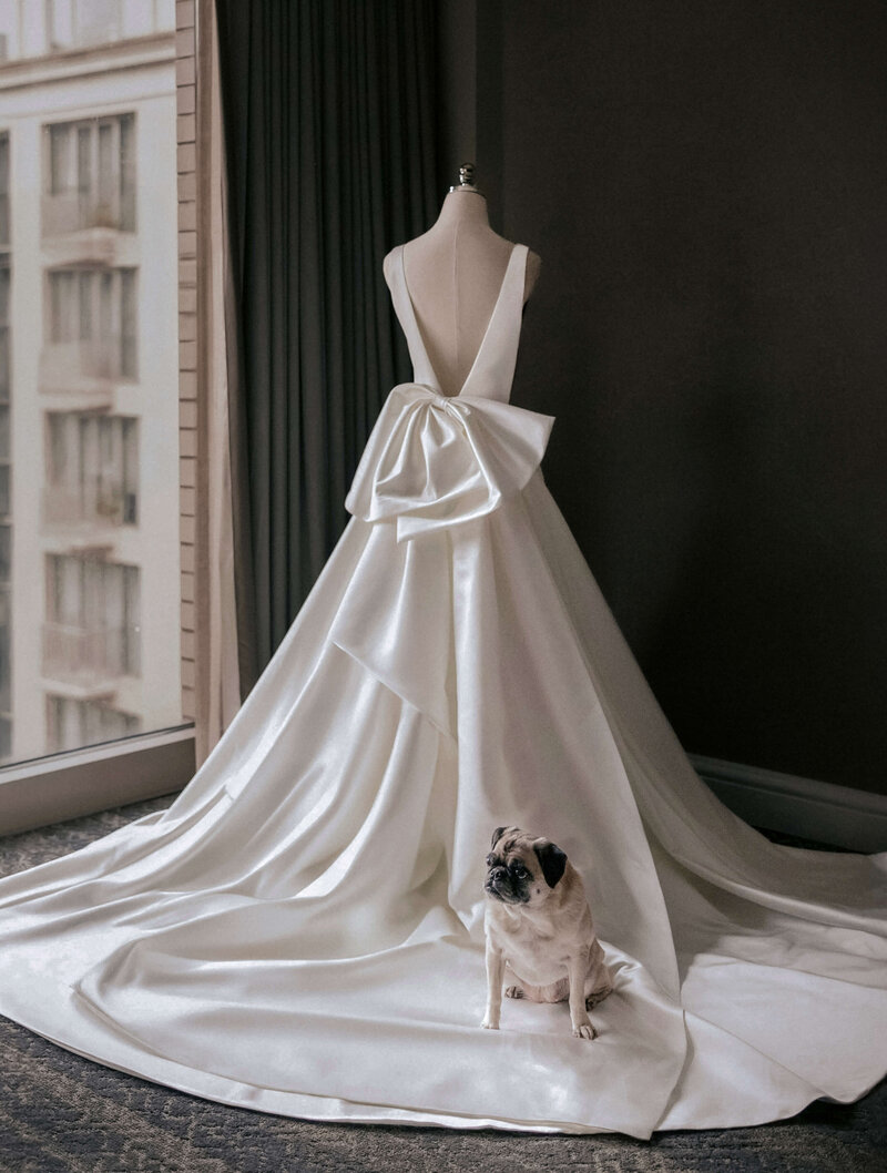 dog-sitting-on-wedding-dress