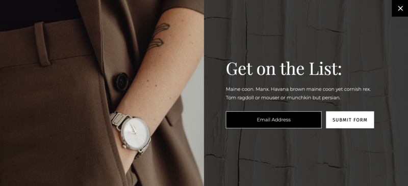 Commercial use Showit sign-up Layout