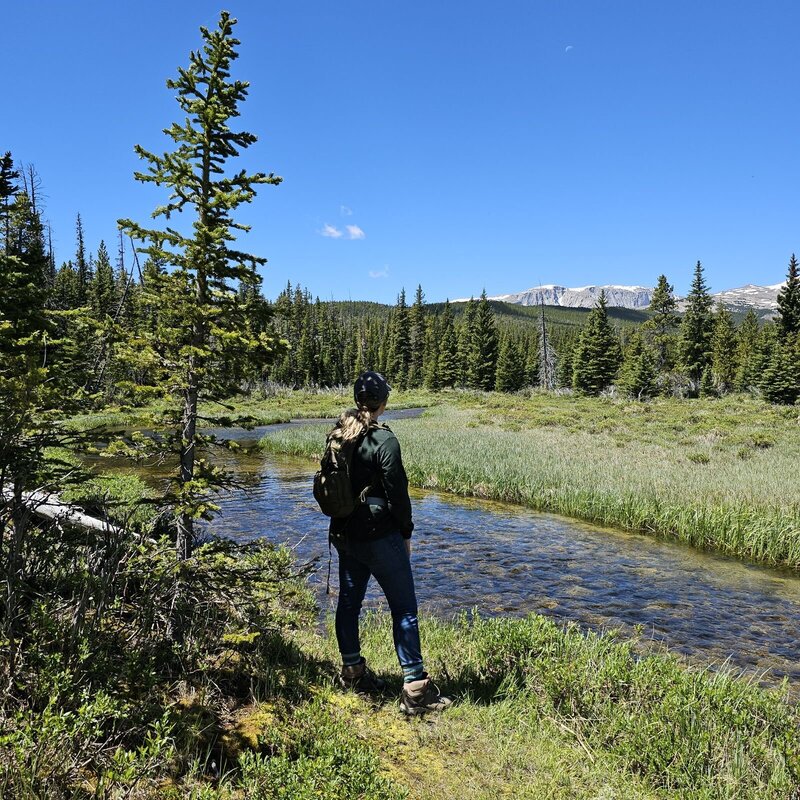 women looking over stream during hike in big horn mountains wyoming
