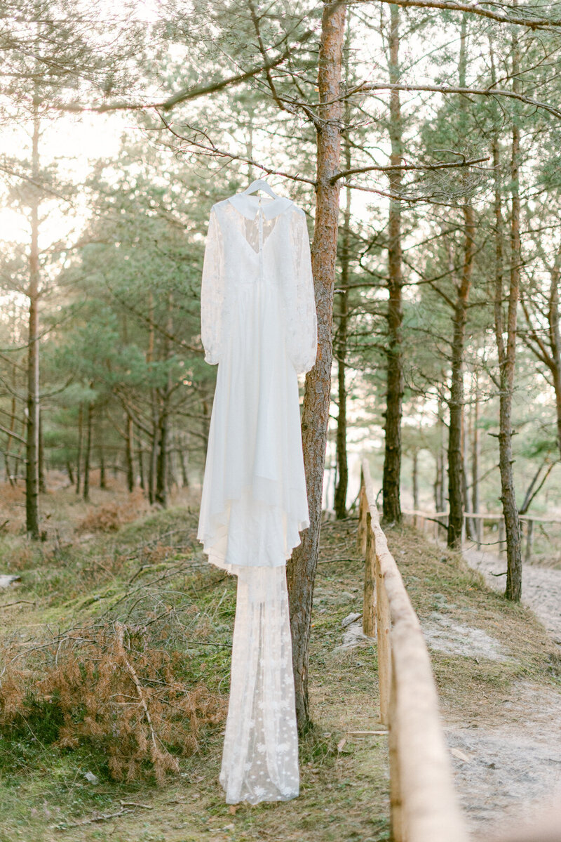 beachwebsite-01