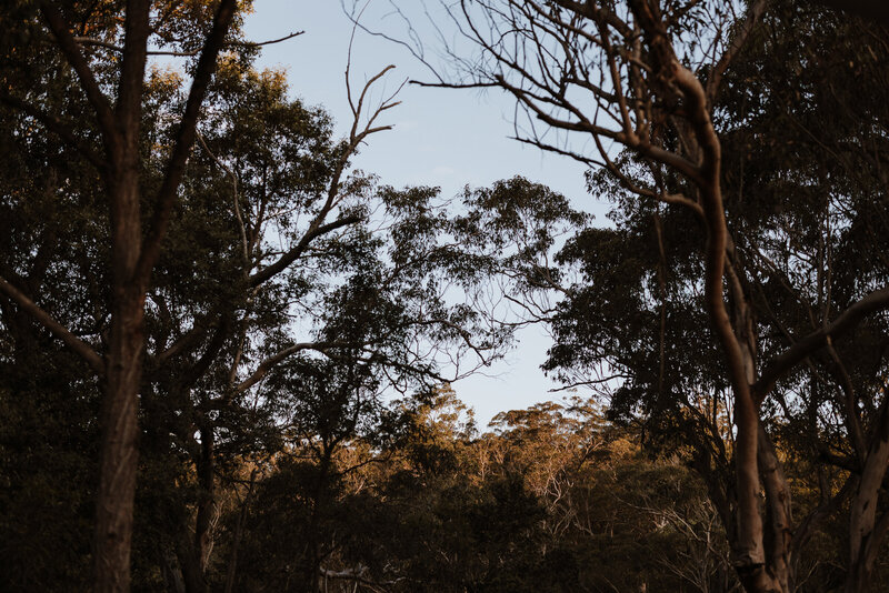 Wildwood wedding_Kangaroo Valley wedding-71