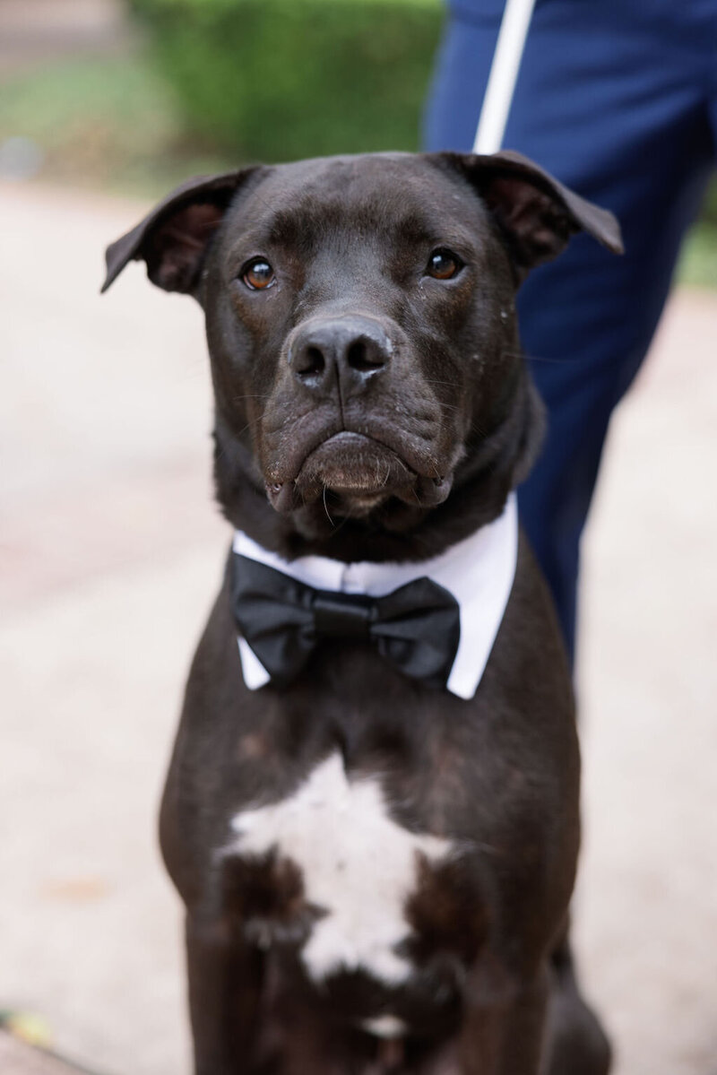 mollyandcharlieWED_0485