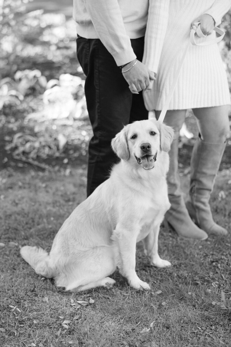 kelsee-risler-photography-new-york-engagement-photographer-george-eastman-museum-martine-kocktails-alyssa-mason-engagement-21-2