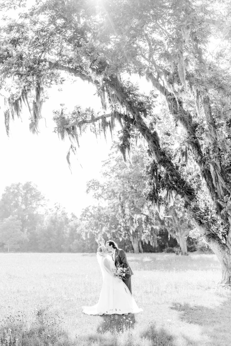 black and white photo of couple kissing under oak tree