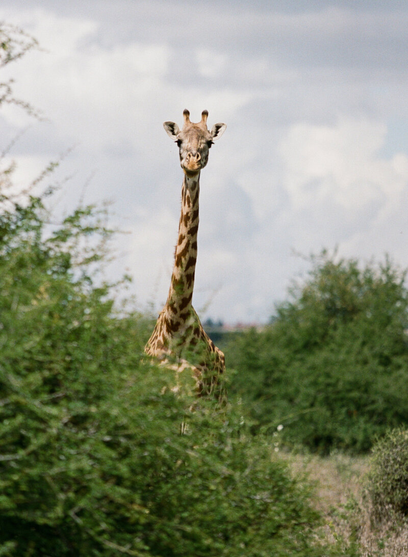 Jennylosee.com (9 of 102)