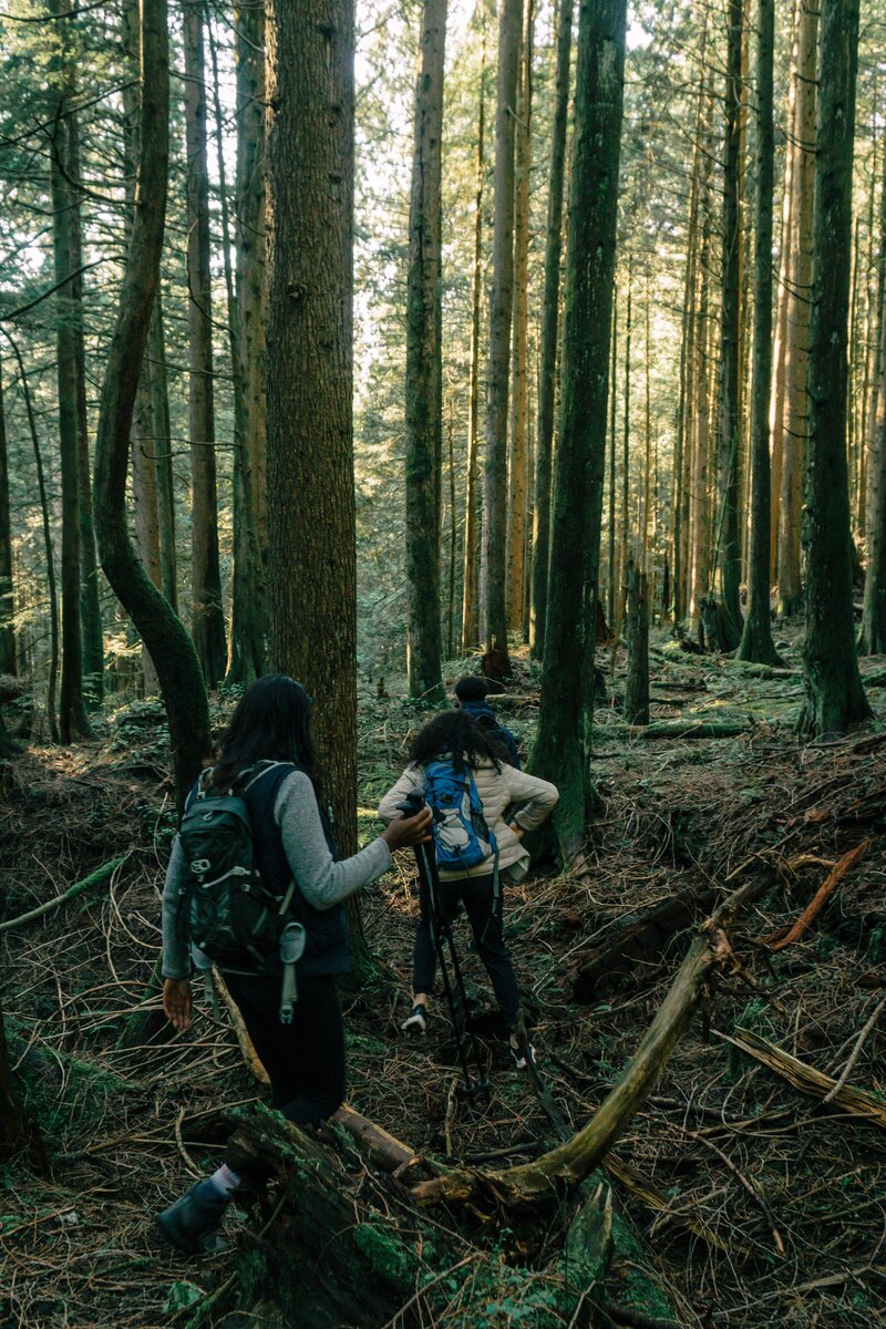 Photo by PNW Production: https://www.pexels.com/photo/people-hiking-in-a-forest-7625304/
