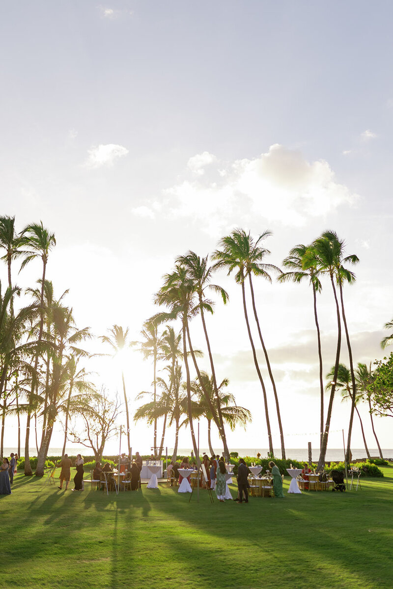A wedding cocktail hour on a bright green lawn surrounded by palm trees 