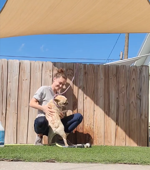Kaitlyn is the manager of J. Tails Barkyard, Doggy Daycare and Boarding in St. Pete, Florida