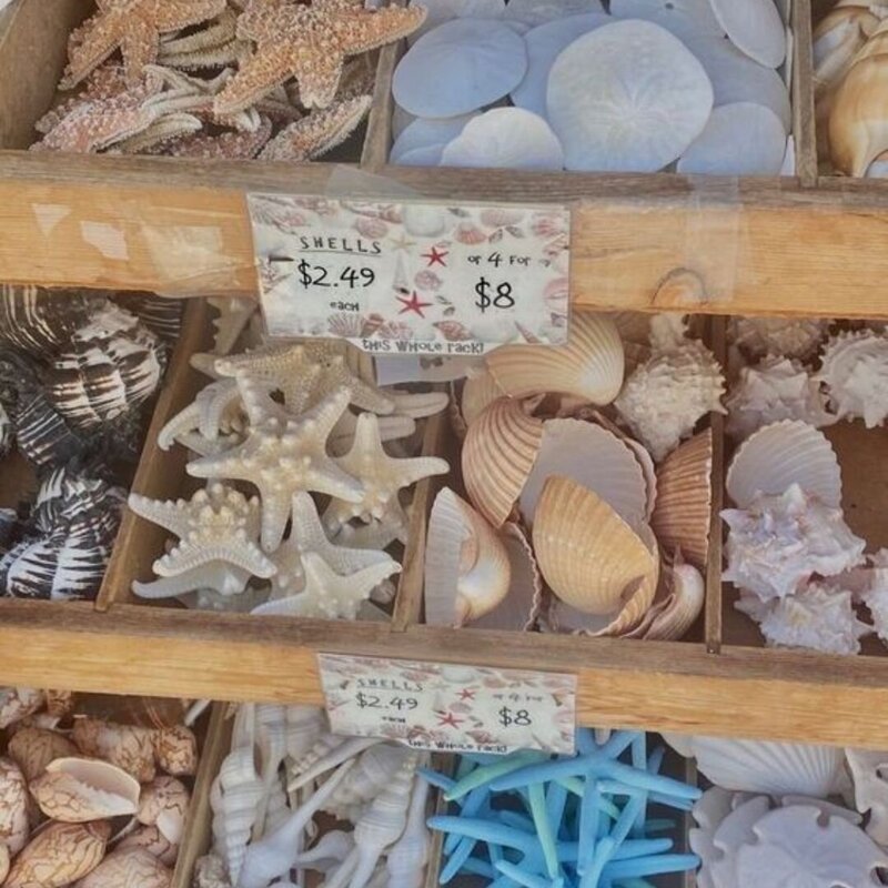 jewelry (1)