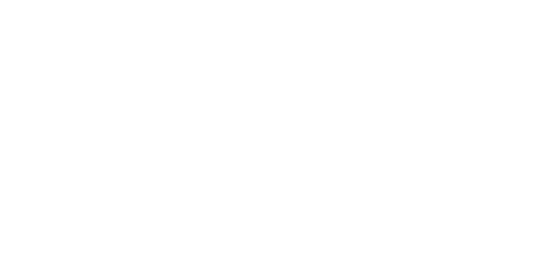 DMC Styles Logo