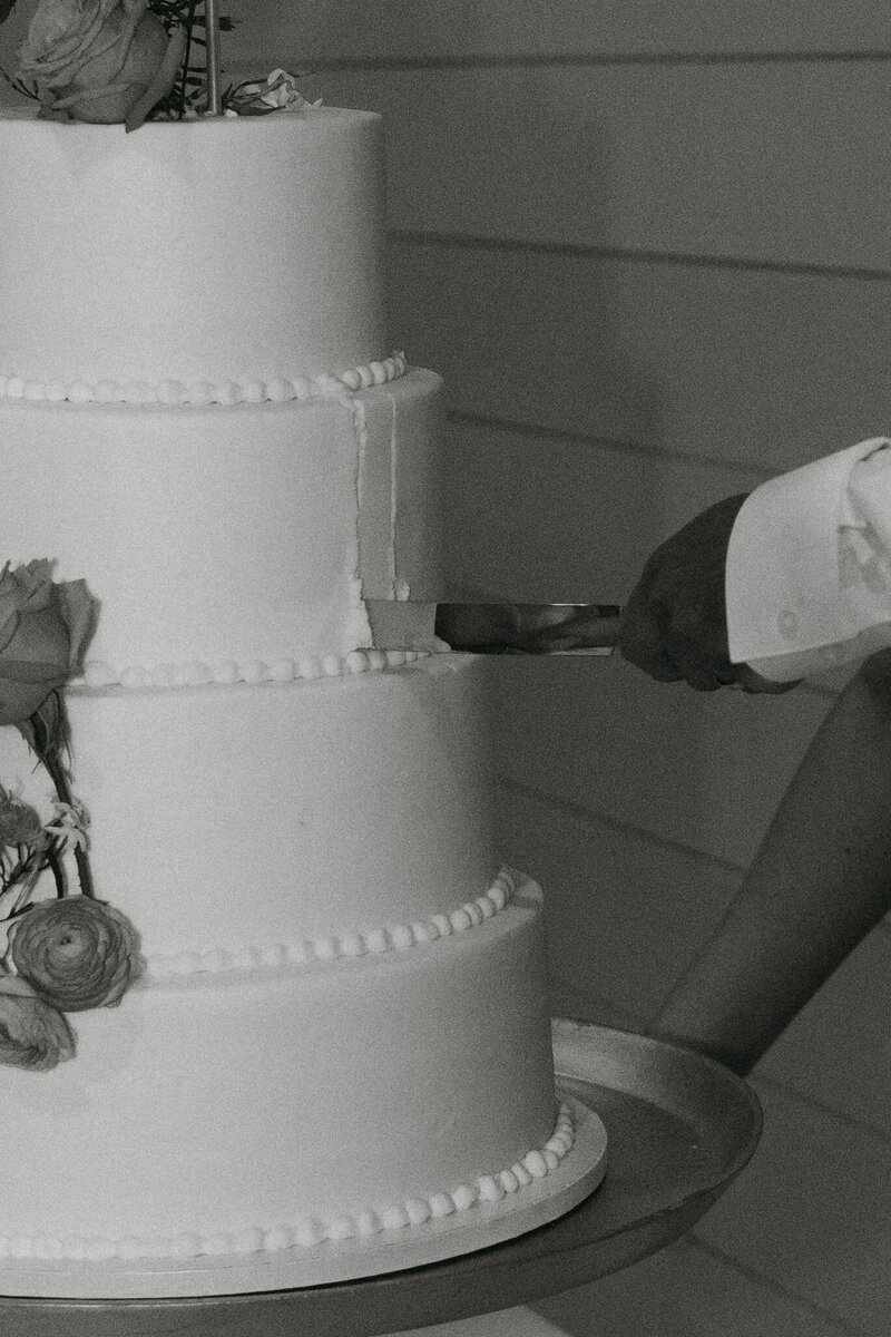 WillowRobbieCakeCutting-21