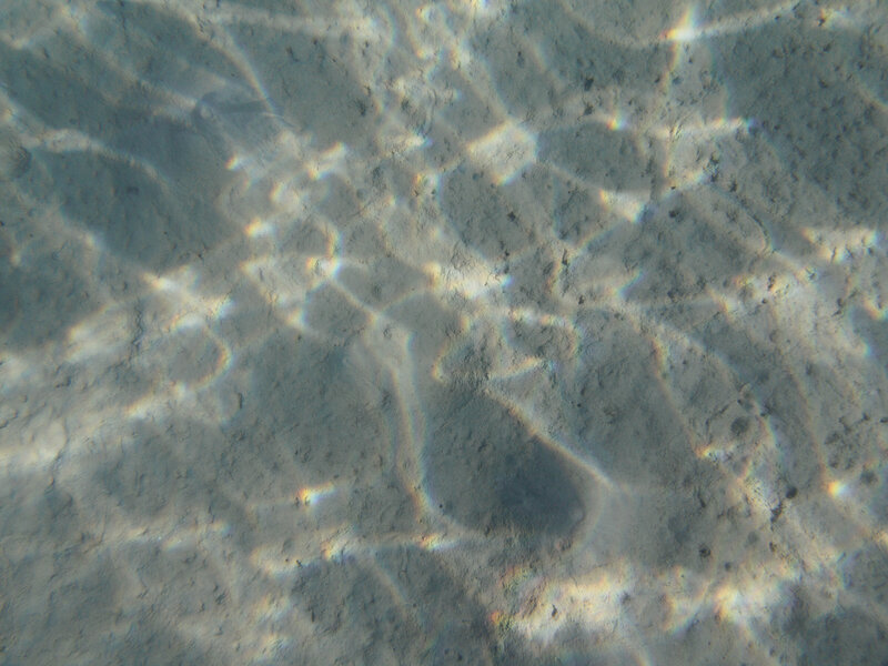 Sonnenlicht bricht durch die Wasseroberfläche und zeichnet Muster aus Lichtreflexen auf sandigem Meeresboden.