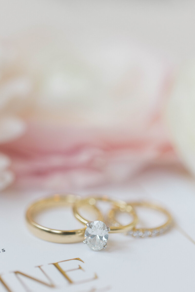 Molly Sue Photography New Jersey + East Coast Wedding Photographer Romantic Imagery Engagement Lifestyle Heirloom Wedding Albums49604