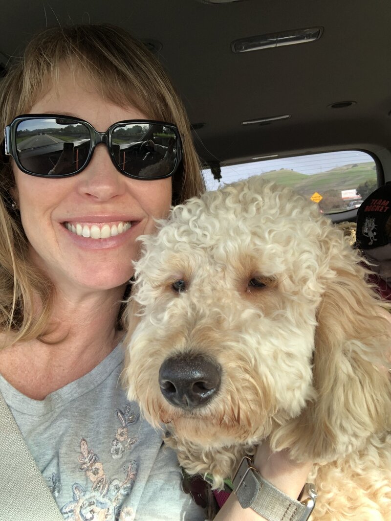Cream goldendoodle with a woman in a car.
