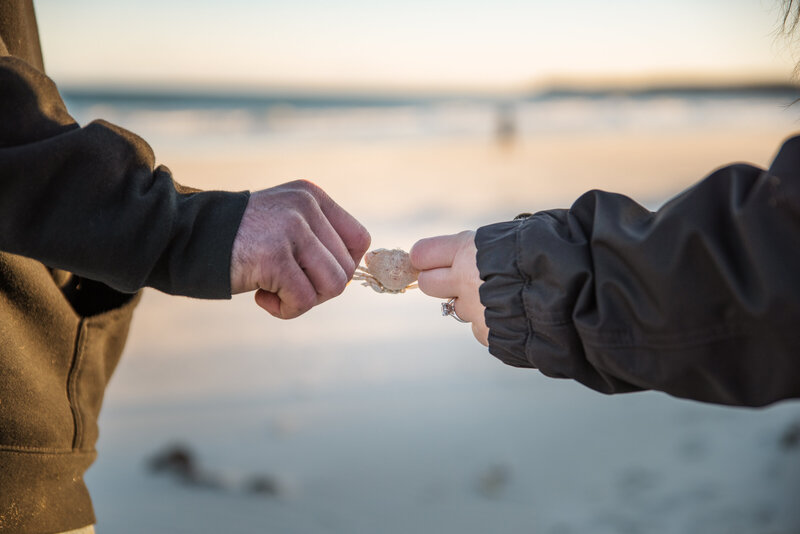 Couple holding crab playfully during their couples session in Southern Maine.