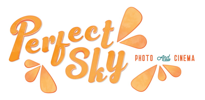 Alt graphic logo for Perfect Sky