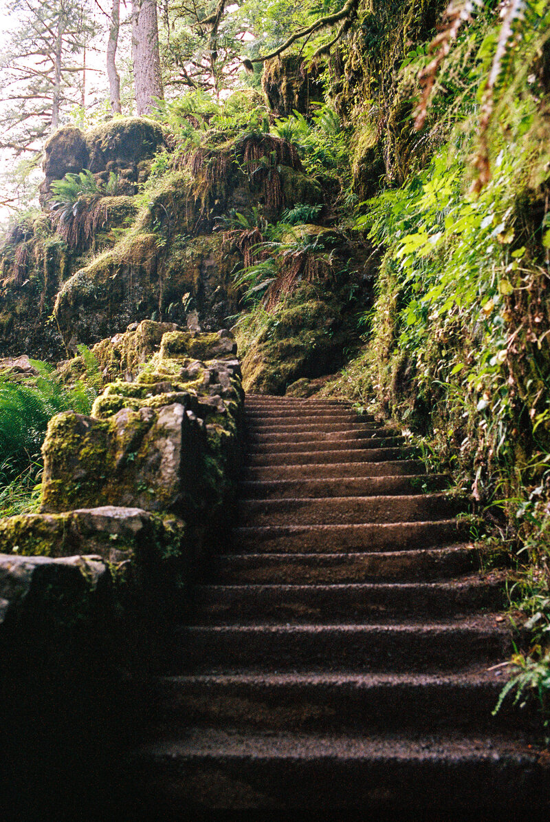 Oregon Waterfall 3