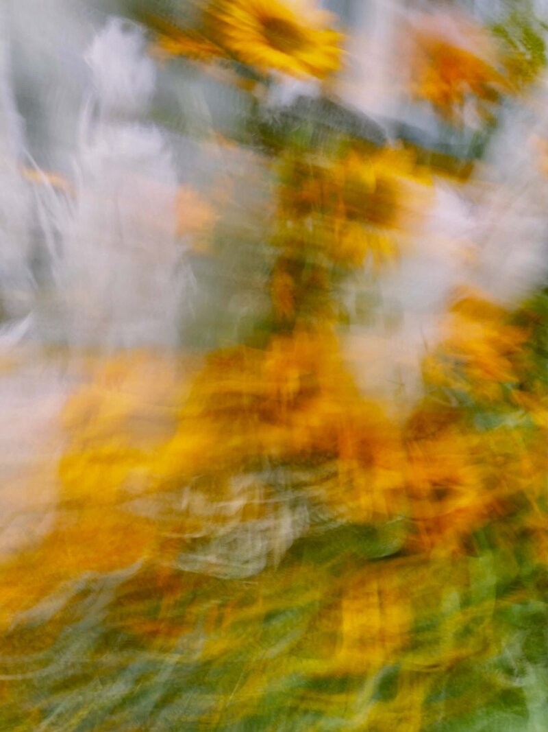 The blurred image of yellow flowers with green stems against a gray background evokes an abstract, impressionistic effect reminiscent of Phillipa Leseberg's artistic style.