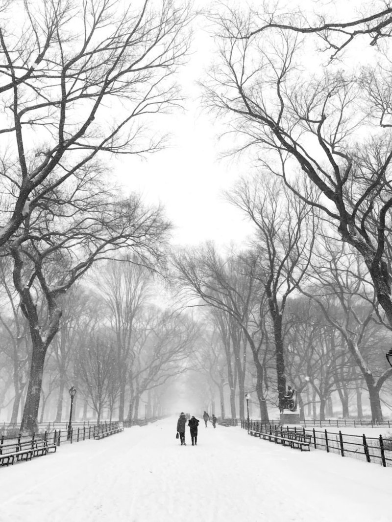 the mall in central park during a snow storm