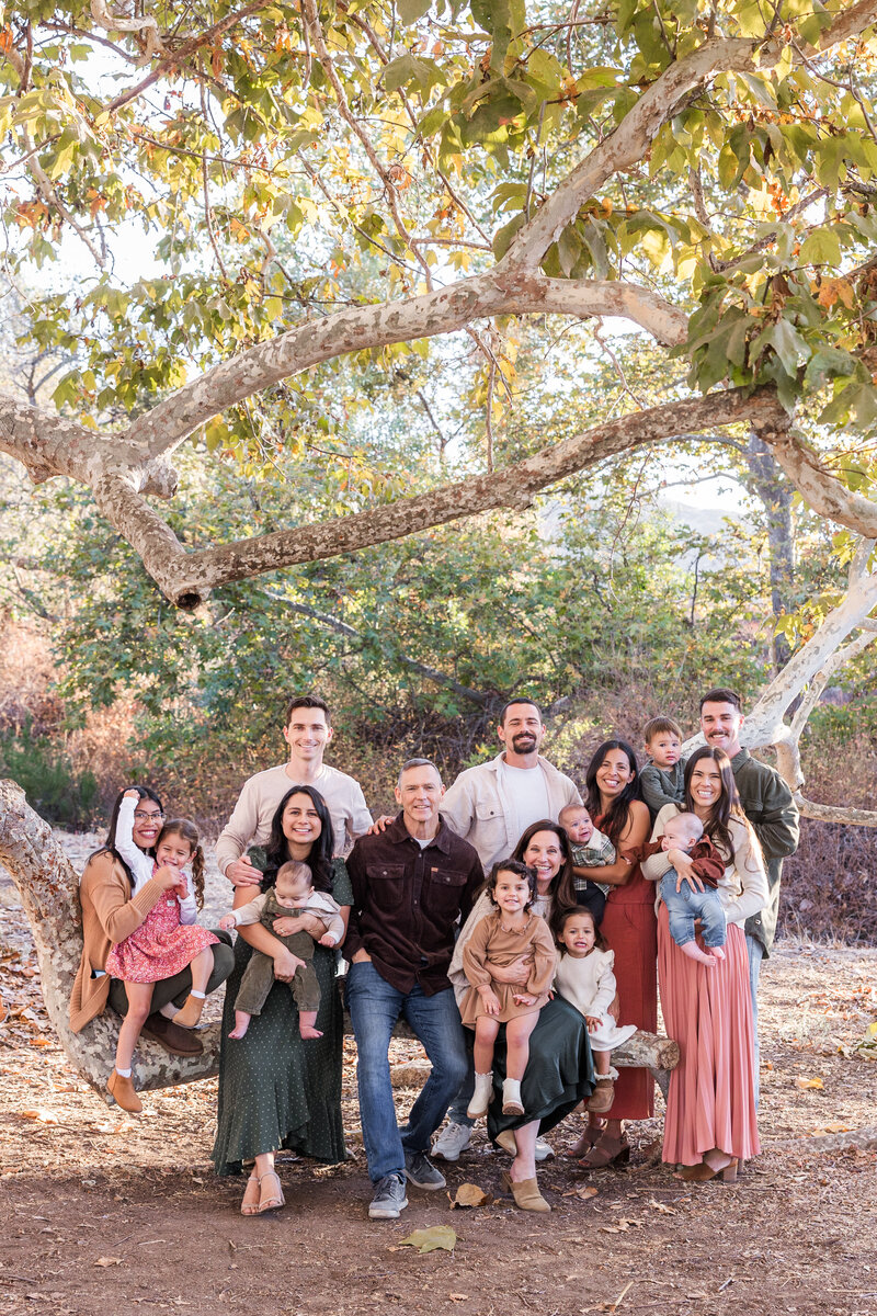 large family sitting on tree branch