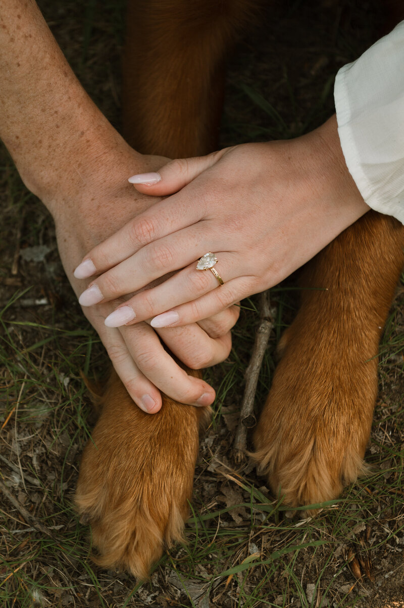 H+Jengagement-30