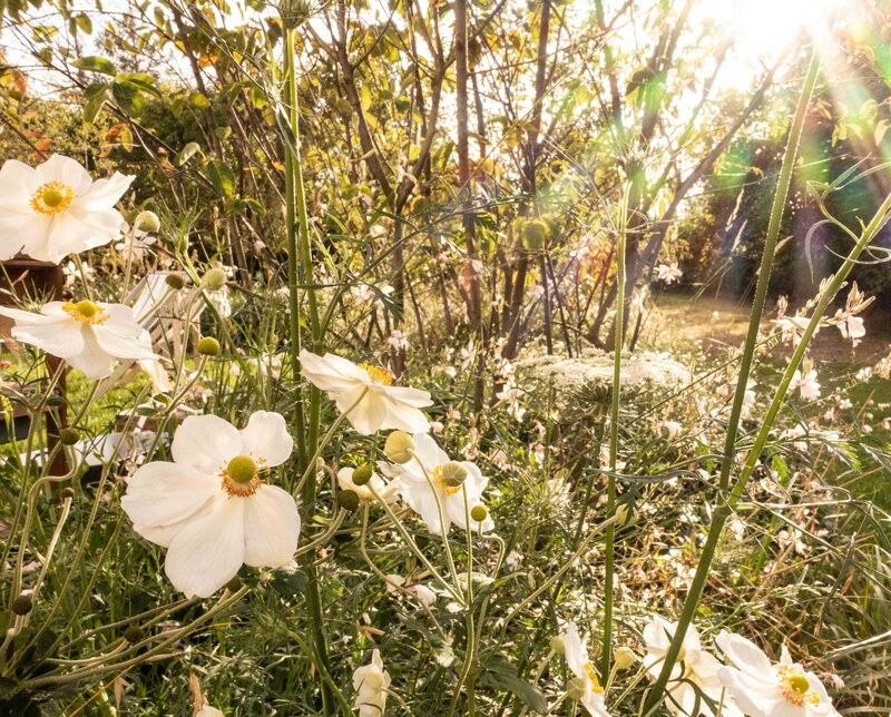 Horus paysages_Architecte paysagiste yvelines_Stanislas JUNG-3