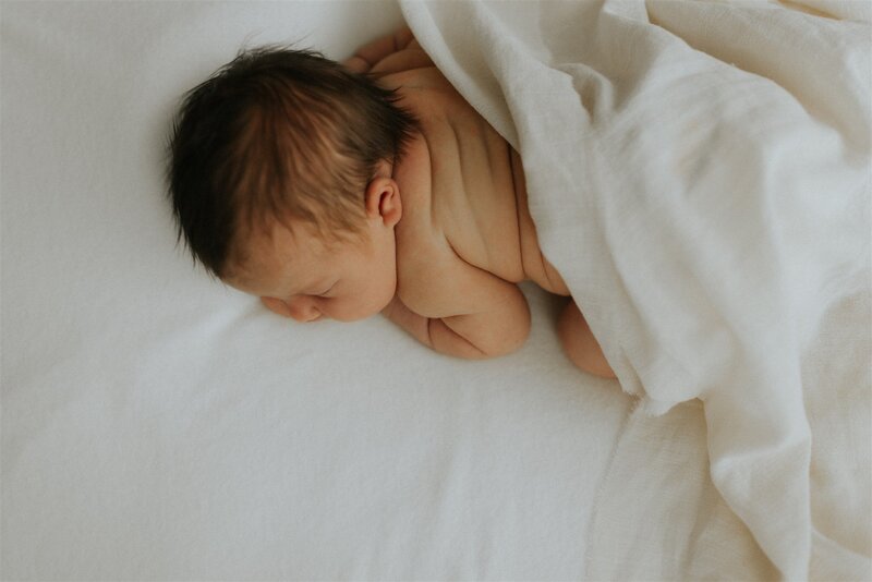 knoxville-newborn-photographer-63