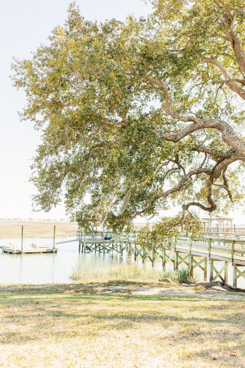 A wooden dock stretching over calm waters beneath a sprawling oak tree covered in Spanish moss in Murrells Inlet