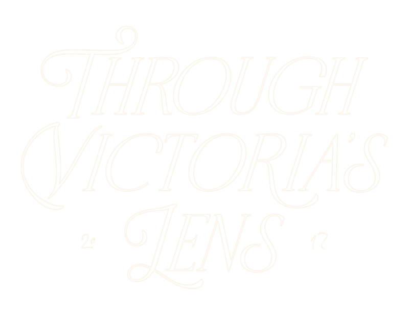 Through Victoria's Lens logo