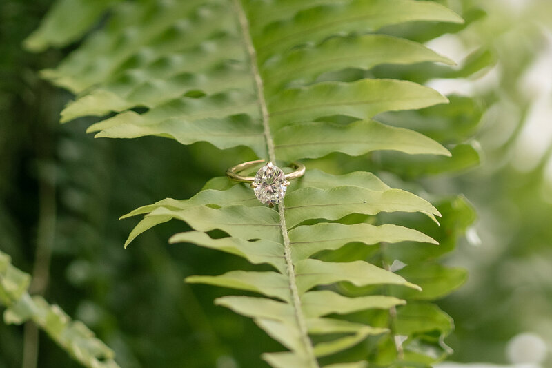 CCLittleShutterBugStudio-3624