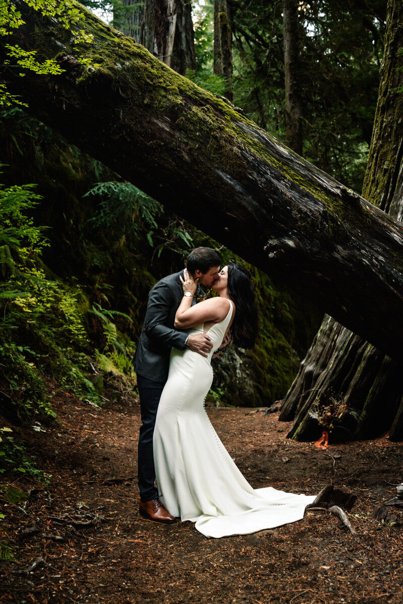 after learning how to elope in Washington State, a bride and groom  kiss under a large, fallen tree